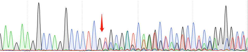 U-87 MG-CAS9 cell line Product Validation Data（RT-QPCR）